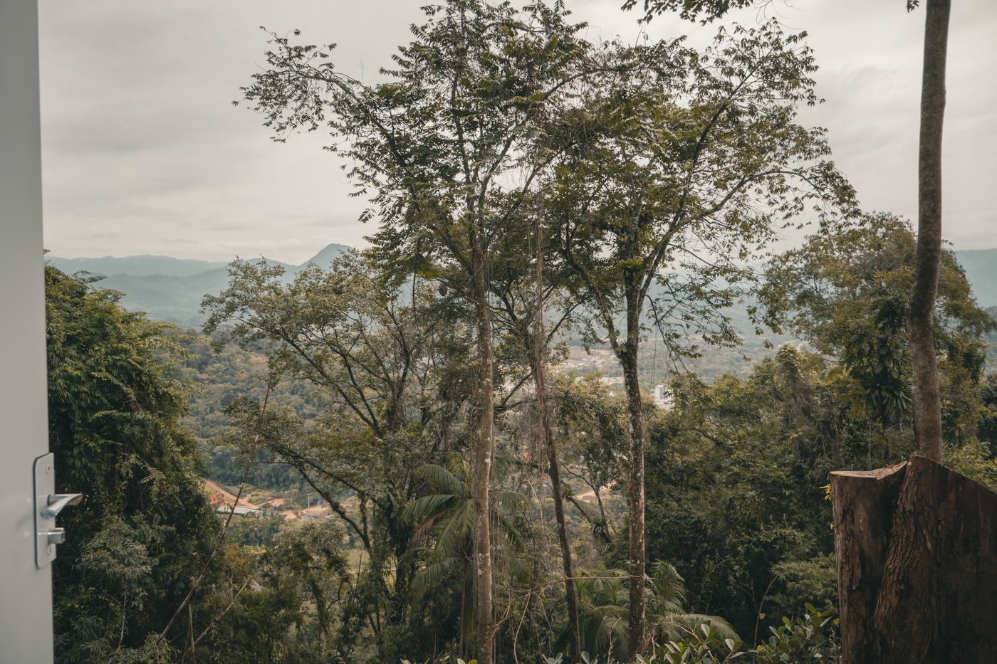 Vista da mata e da cidade a partir da Tiny House Herrmann Haus